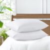 White Color American Styles Solid Color Queen Size Cushion Hotel Pillow Luxury