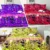 Soft Microfiber Printed Bed Sheet and Duvet Cover Set