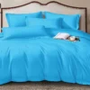 Pure Color Polyester Bed Sheet 3-Piece Set